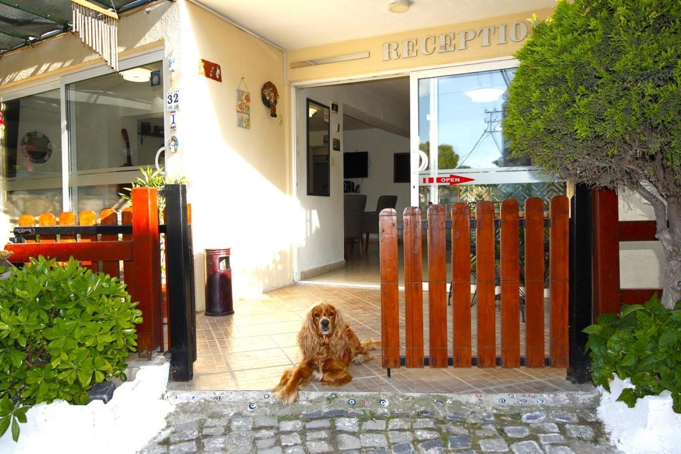 Bonapart Hotel Çeşme المظهر الخارجي الصورة