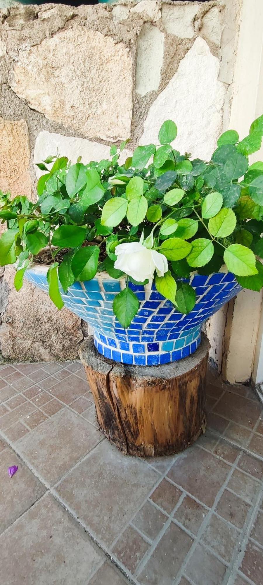 Bonapart Hotel Çeşme المظهر الخارجي الصورة